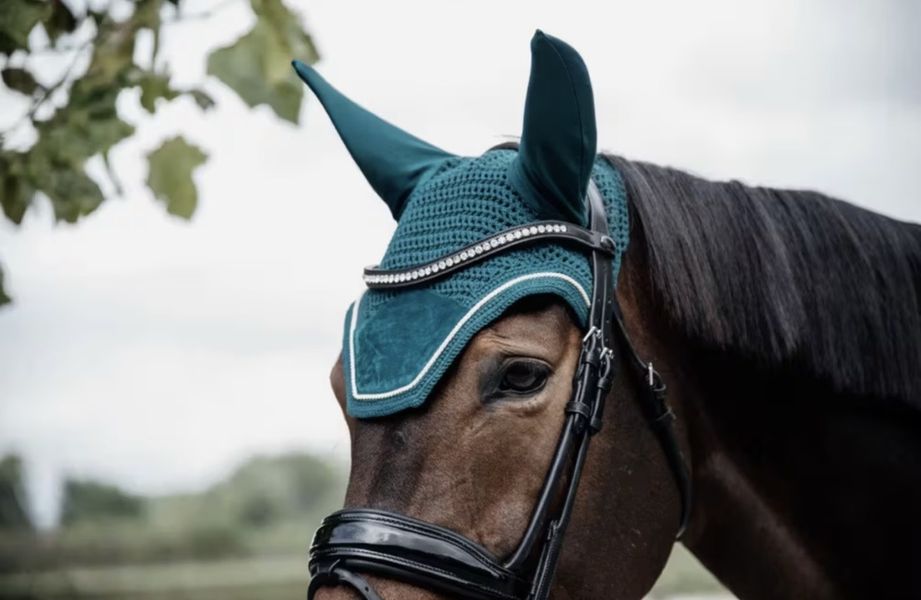 Kentucky Fly veil Wellington Velvet