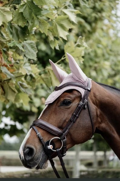 Kentucky Fly veil Wellington Velvet
